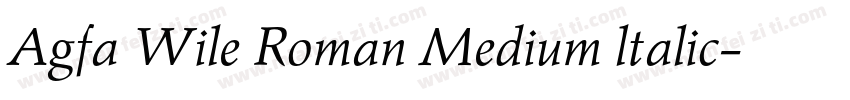 Agfa Wile Roman Medium ltalic字体转换